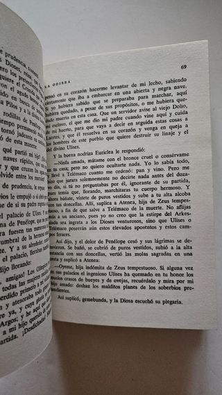 La Odisea de Homero