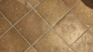 Pavimento Cotto Brunelleschi 25x25