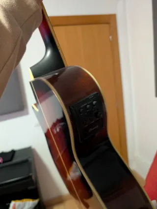 Guitarra Ibanez AEG1011-VS