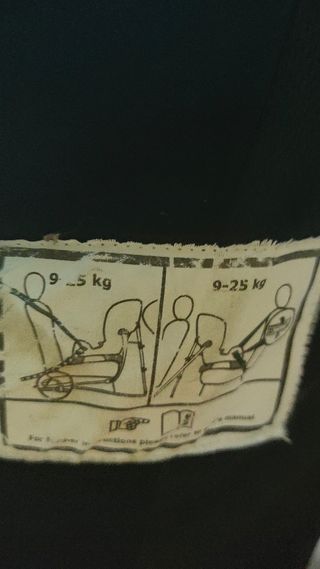 Silla coche contramarcha Axkid Wolmax