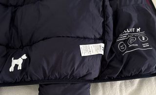 Chaqueta acolchada WILLIOT azul