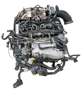 Motor 2.0 TDI VW DSR