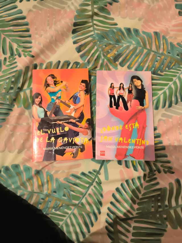 El vuelo de la gaviota