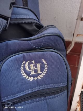 Juego de palos de golf