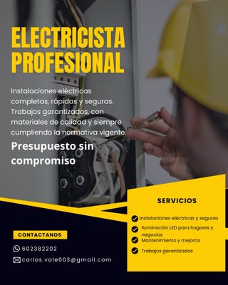 Electricista Profesional