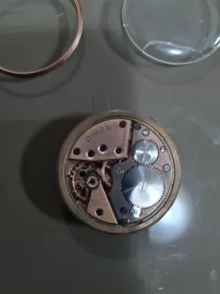 Maquinaria Omega Reloj Pulsera Negra/Dorada