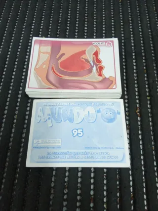 47 Cromos Panini Mundo 2016 ref 77