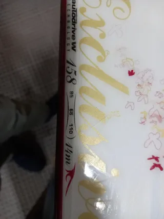 Esquís Dynastar Exclusive 8 con Bastones