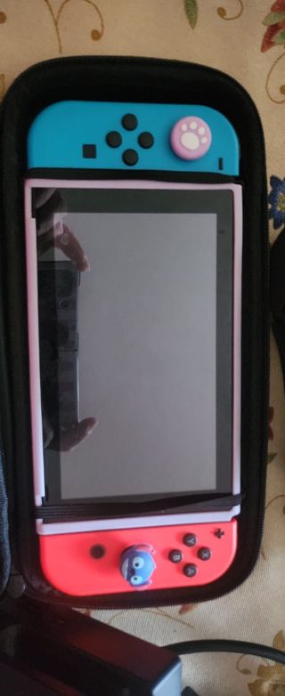 Nintendo Switch + Accessori e Giochi