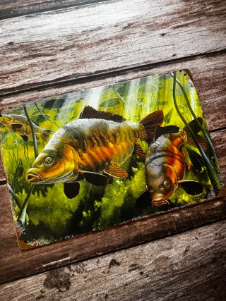 CARTEL DE PESCA CARPAS BAJO EL AGUA