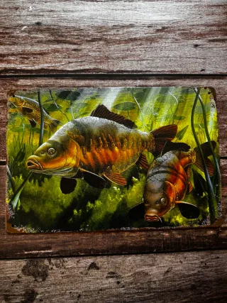 CARTEL DE PESCA CARPAS BAJO EL AGUA