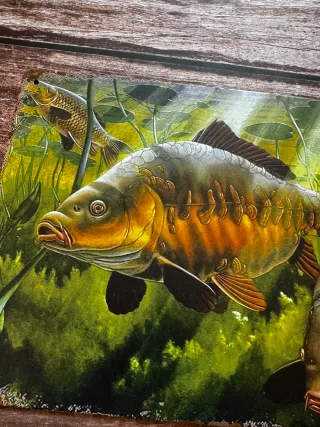 CARTEL DE PESCA CARPAS BAJO EL AGUA