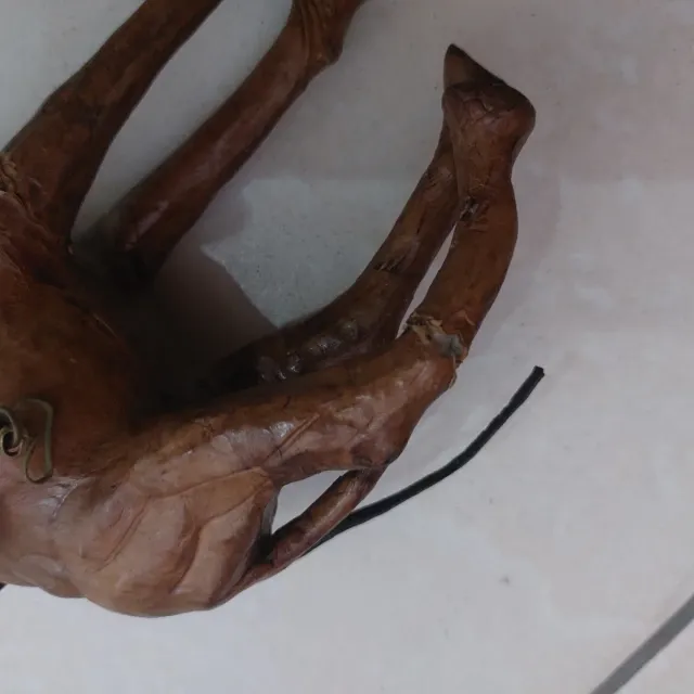 Cammello in legno decorativo