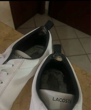 Scarpe Lacoste bianche uomo