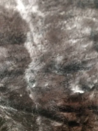 Chaqueta Mango Piel Talla M