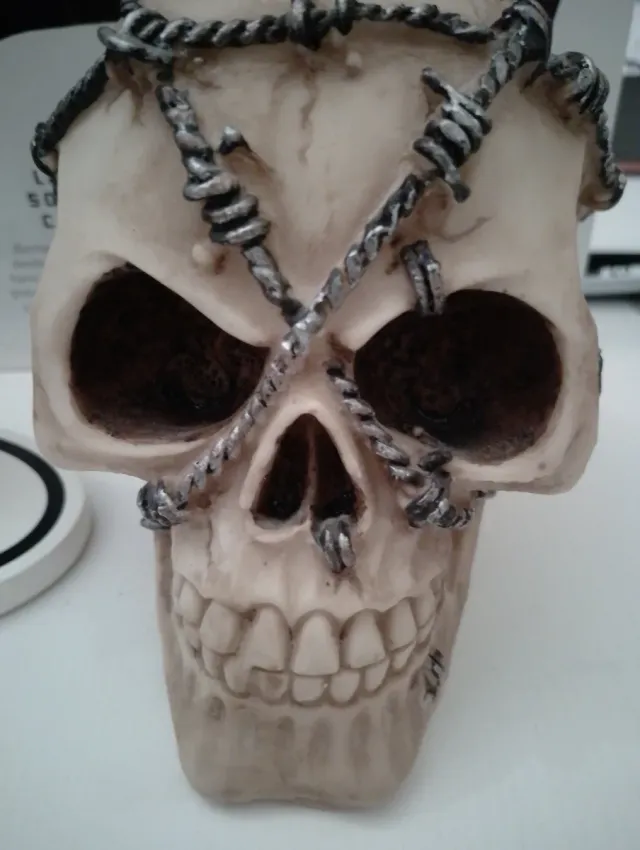 Calavera decorativa con alambre de espino
