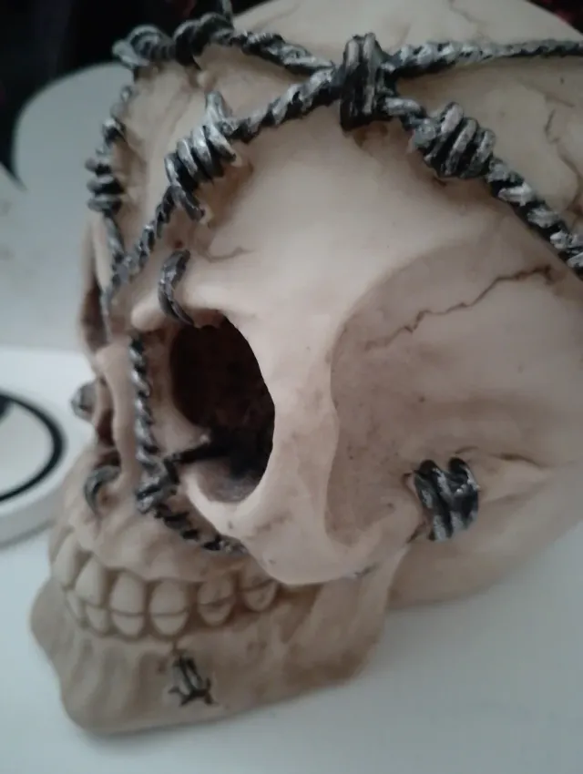 Calavera decorativa con alambre de espino