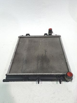RADIADOR AGUA PEUGEOT 208 (P2)