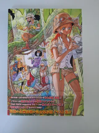 ONE PIECE COLOR WALK 9 - TIGER