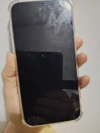 iPhone 12 Pro Max beige/Oro