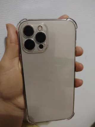 iPhone 12 Pro Max beige/Oro