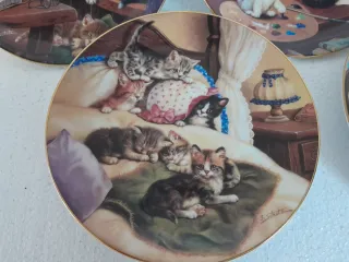 PROMO Piatti da collezione