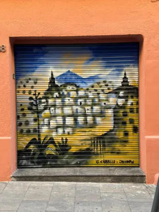 Persiana con graffiti artístico