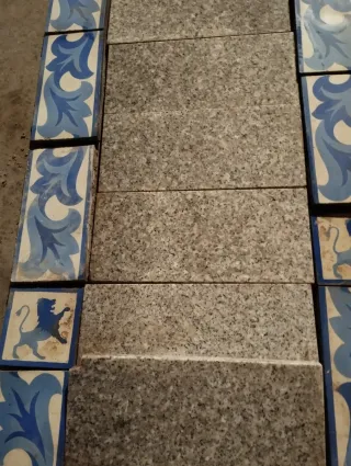 Azulejos antiguos decorativos león y flor