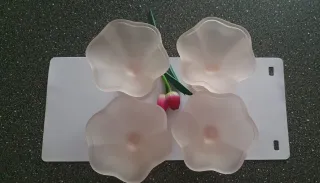 Coppe Vetro Satinato Rosa Trasparente