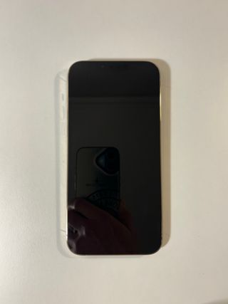 iPhone 13 Pro Max Plata Reacondicionado
