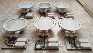 6 Plafones Dowlight D.220 mm