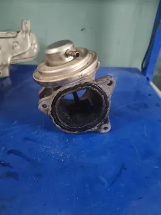 Válvula EGR y enfriador grupo VAG 2.0