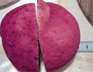 Geode Agata Diviso in 2 Parti