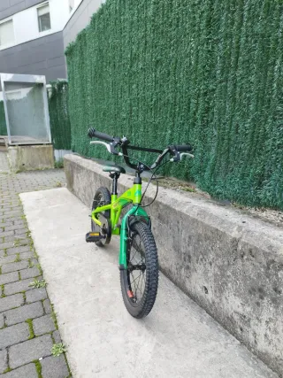 Bicicleta Monty 103 16 Verde (venta en persona)