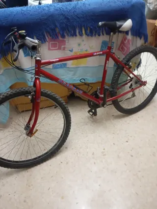 Bicicleta BH Quassar