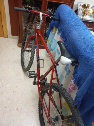 Bicicleta BH Quassar