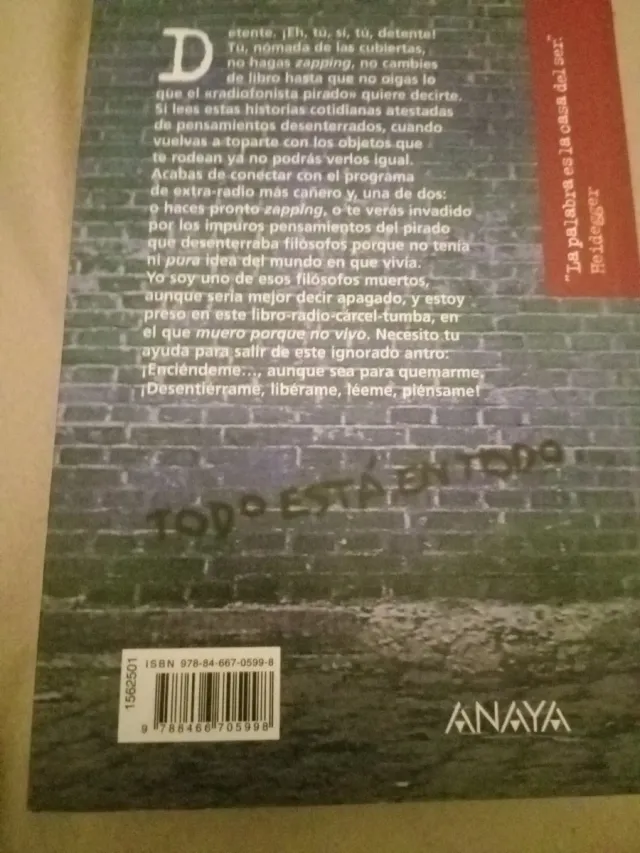 El radiofonista pirado (Spanish Edition)