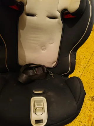 Silla Auto ISOFIX 9-36 kg Penguin