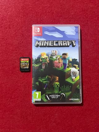 Minecraft Nintendo Switch