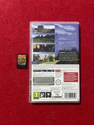 Minecraft Nintendo Switch
