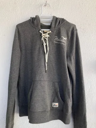 Sudadera Hollister Gris