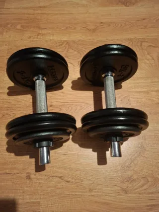 Mancuernas 20kg (par)