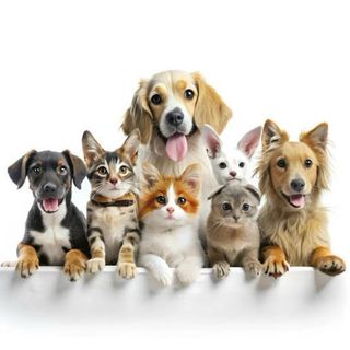 cuidadora de niños y mascotas