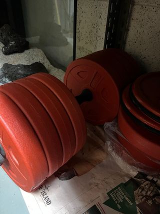 Set di dischi pesi per manubri