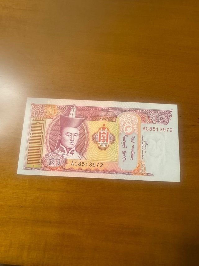 Banconota Mongolia 20 Tugrik