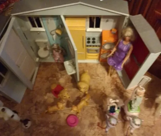 Lote Juguetes Barbie Casa y Accesorios