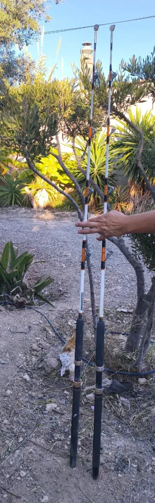 2 Cañas de pescar de barco