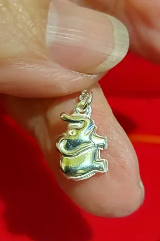 Colgante de Plata de Ley