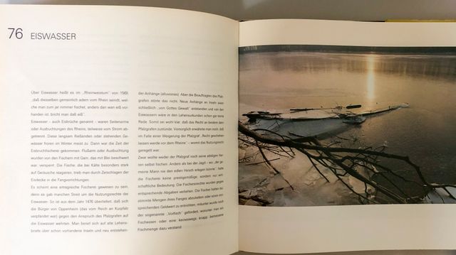 DER ALTE RHEIN o EL VIEJO RIN