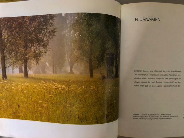 DER ALTE RHEIN o EL VIEJO RIN